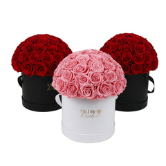 Forever Medium Dome