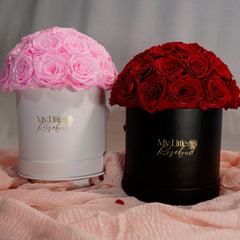 The Forever Valentine Dome