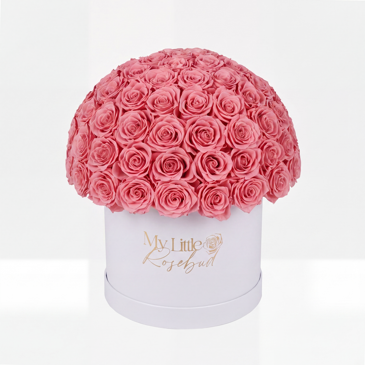 Forever Large Dome
