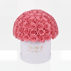 Forever Large Dome