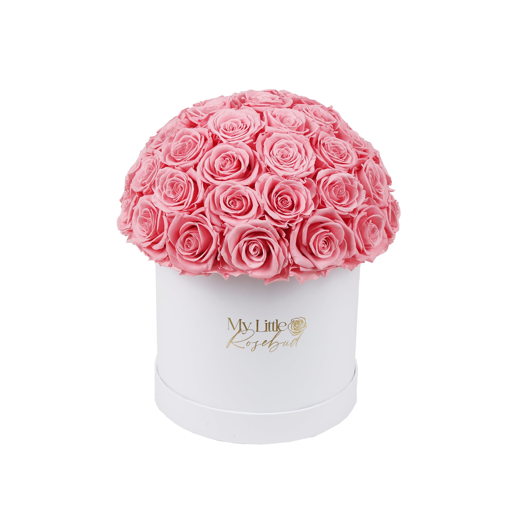 Forever Medium Dome